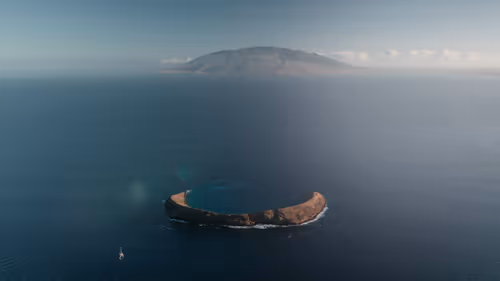 Item #78064220502355505726869985793984720926867023015257308531581829191187807862785 Media