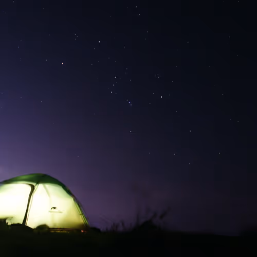 Untitled Collection #54007064 - old