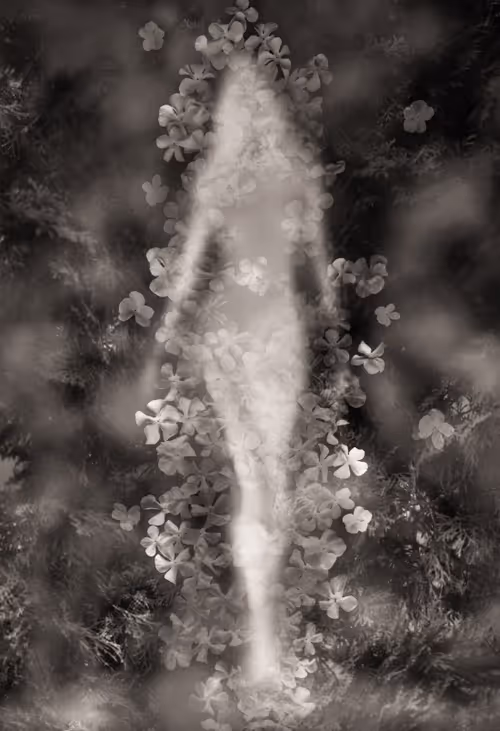 Item #82086394152813496729852745644400301310809698688948886085589871399930148421633 Media