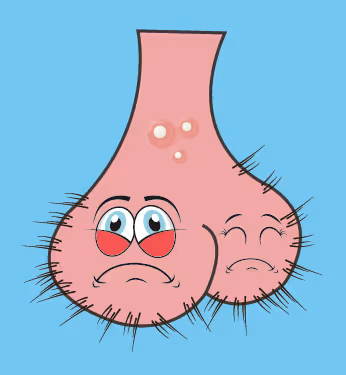 Item #22793047471806318065020766672709763262679883798276267629942525285218457223169 Media