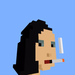 PunkVoxels #8316