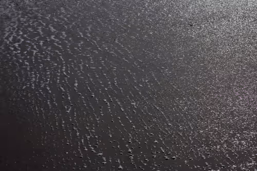 Item #110563264937173630415102547684714144673786021135482478862181301885614138851329 Media