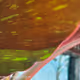 22368341574114747621905550145520063768422293461851478402580717542869173272577