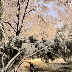 Freeze the day