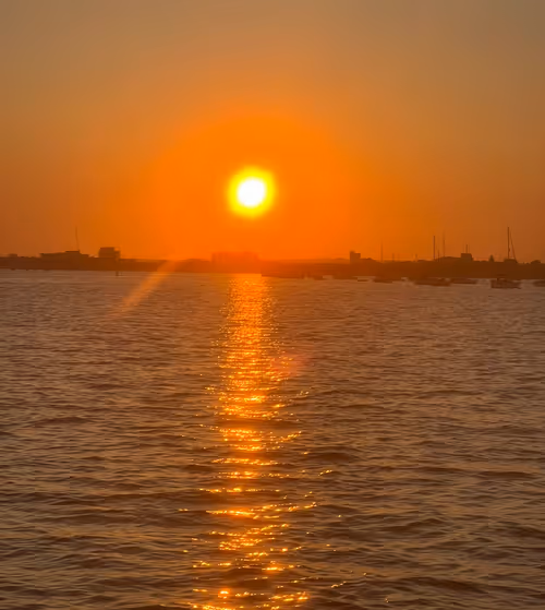 Item #27084933220052464444654272208762827039666035184275575188108591521725365092353 Media