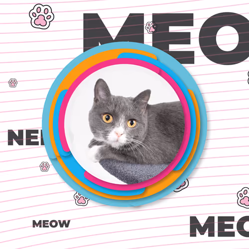 Item #96362335509647116317977925976326486307493994950873933510348800595555600302081 Media