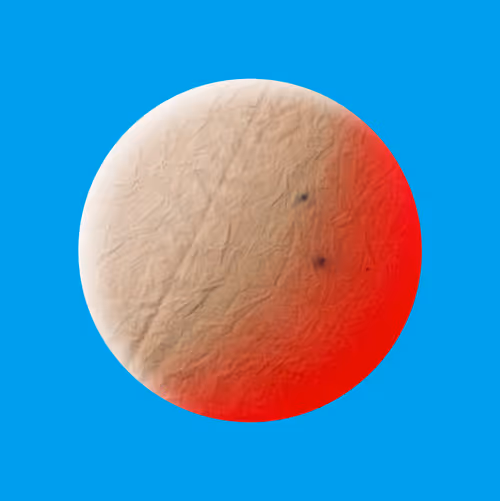 Item #55905346774224854599338854943229031110483154244929458621018515133018417397761 Media