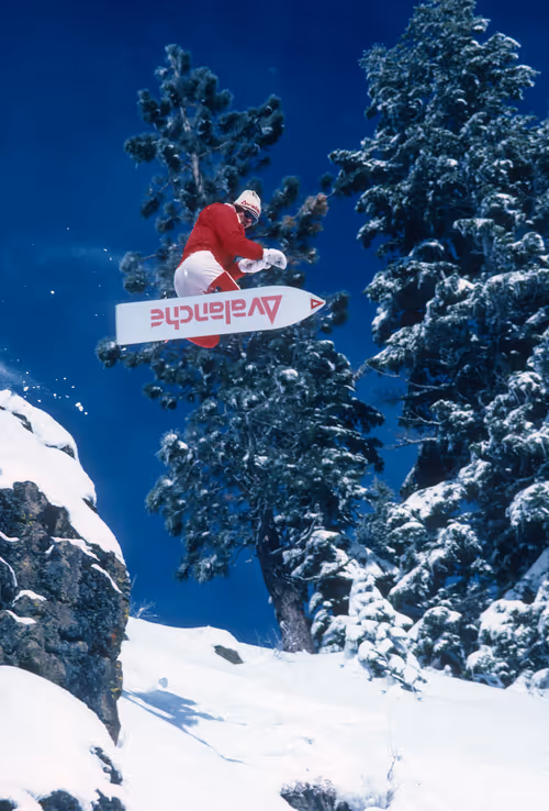 Item #40259216463408254052769072741446962859476746949004167296355483929541213159434 Media