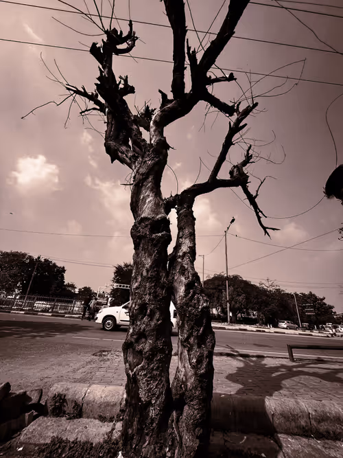 Item #96271167049217915150770588908296810010425213803415415950179193494792021475329 Media