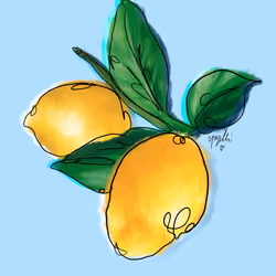 lavish lemons