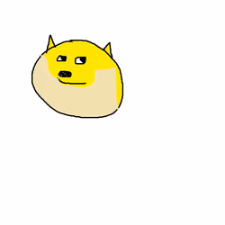 Doge