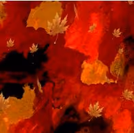 Autumn Colors - Animated Falling Leaves