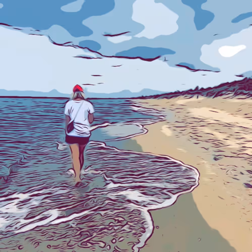 Numismatist Collection