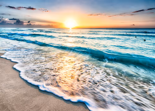 Untitled Collection #534478022