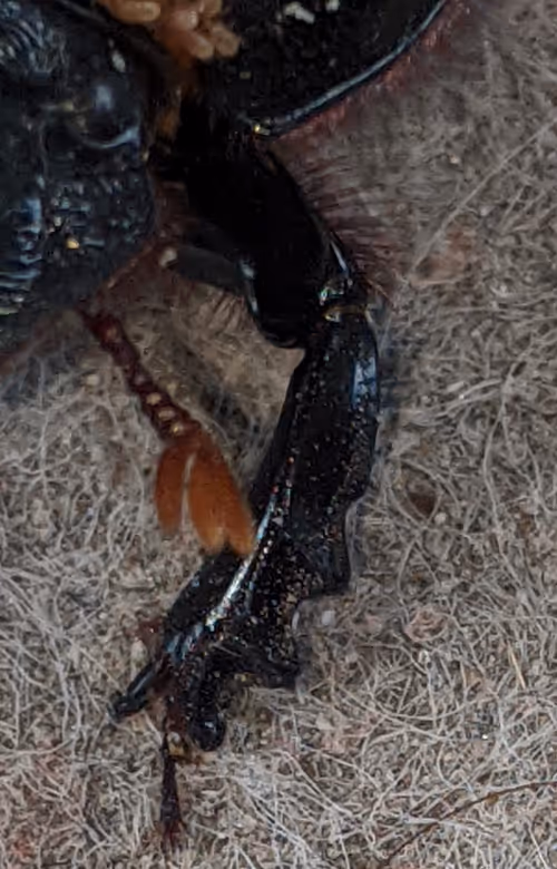 Item #47518194273065051299756248603371626593986050369570479212048397533364774502401 Media