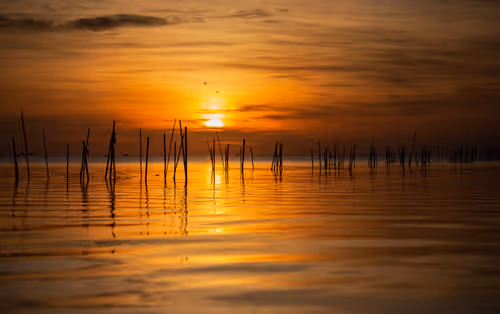 Item #105679162715773690367894814568251153202929894369313826483118647871878299910149 Media