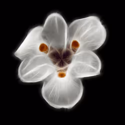 112000724350228495474711911108130364376243231564197861893917095405585170442