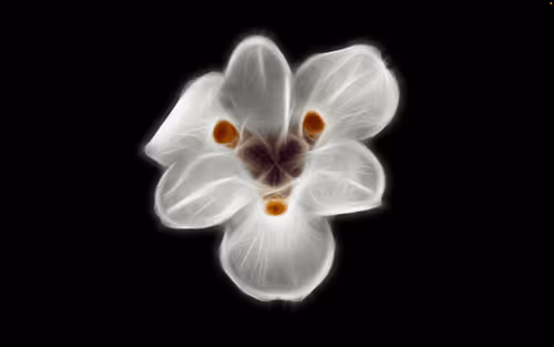 Item #112000724350228495474711911108130364376243231564197861893917095405585170442 Media