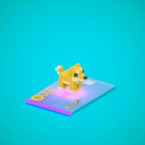 bigcatnft collection