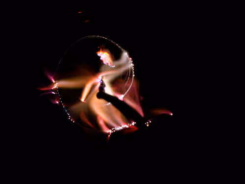 Item #45731211464929816441170859700976373292149702980452148839612468932515911958529 Media