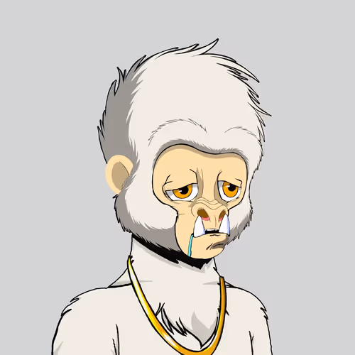 Item #101283336177868892854754309186792144102346451616157460398657811097700687413249 Media