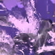 11525261634682883722659004821119611049771397364221696971275085572347623636993