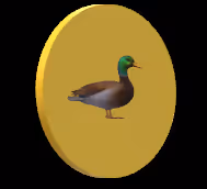 Item #93985541129770436637646338306136486548441902086112211911656612721001375041183 Media