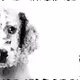 57803851380201452392201340356620982829634760841855160190158575040147805437953