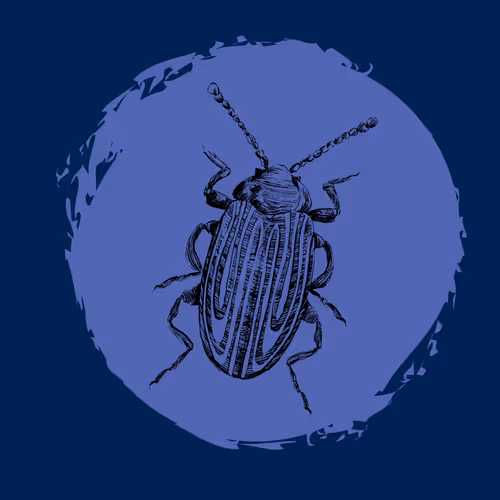 79067907305230177002014129353343413869651970885450883453575323027456850395137