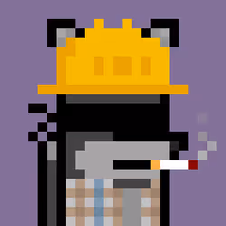 48206493889071308928189861147578833407528565652714763479453033511543860363265