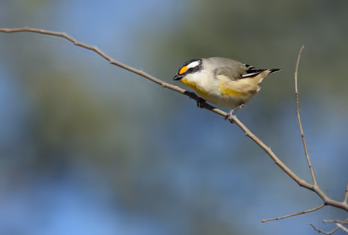 Item #38679742034539595231050778277230577149943789844640085041494942478186861035521 Media