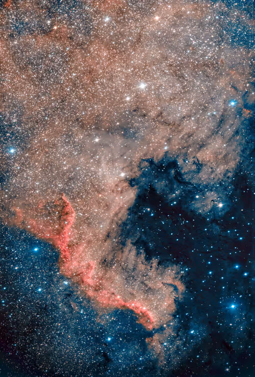 Item #97012587499429790410891449160678480242107377463649634715950859417524541325313 Media