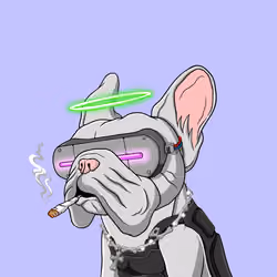 Fancy Frenchies#3