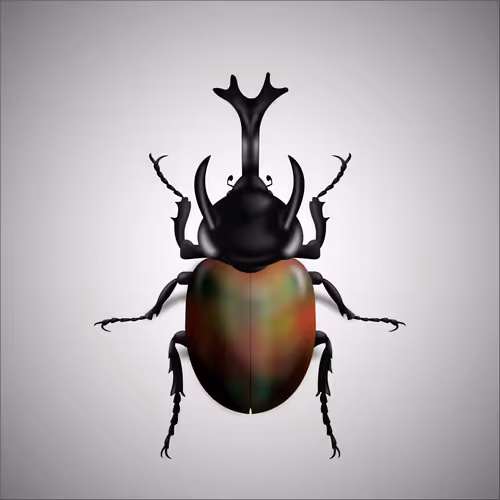 Item #15006194083360452165747859706250248338064014496976576965207407400483108683777 Media