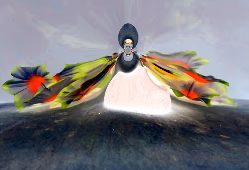 Item #67457553150443021914092587022250176347061355639032054621716076063020747325441 Media