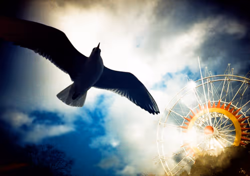 Item #42626720449793049245731240582970290857527864811431423741856946904990947999745 Media