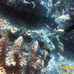 80965803268169370603932631570667161375508893671094224909166963925901807452161