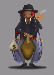Drosophila Mellowgangster