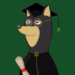 DOG13