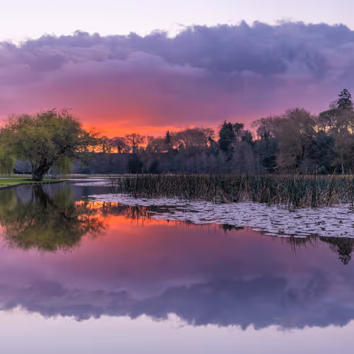 Reflections #1 - Watercolour Dream