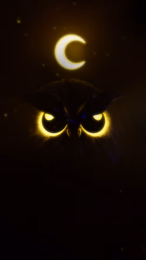 Item #71189425554811057055269018101740644731298983651805850184599457221664632209409 Media