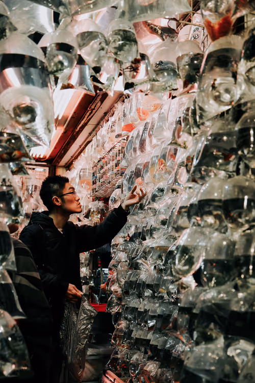 Item #72143170526386008718676072286170723353278799550687160279104313226723544006657 Media