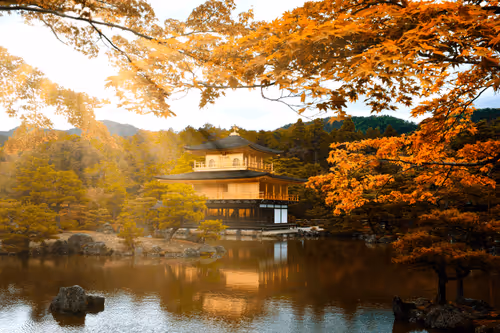 tchebotarev Collection