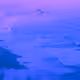 88757720568226029596562460439980572709159236811082638970353090361225692315649