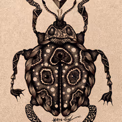 51848068981879456426967655835962977411748958395961382296505257774434435989505