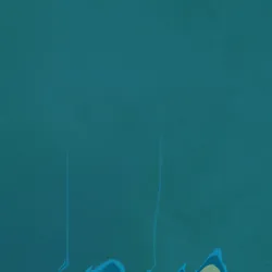 108063527943093797670901937035496763574715358046097060802009373231706825293825