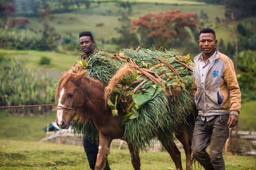 Item #50027882237522295676960542276708360859068113986169674979910833970176887619585 Media