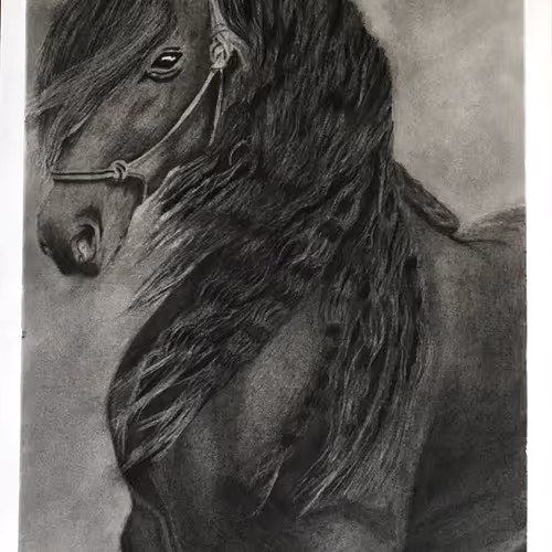 Horse Eth