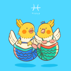 Cockatiel Bird - Pisces ♋️