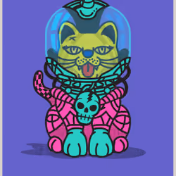 Cat-D KENJI